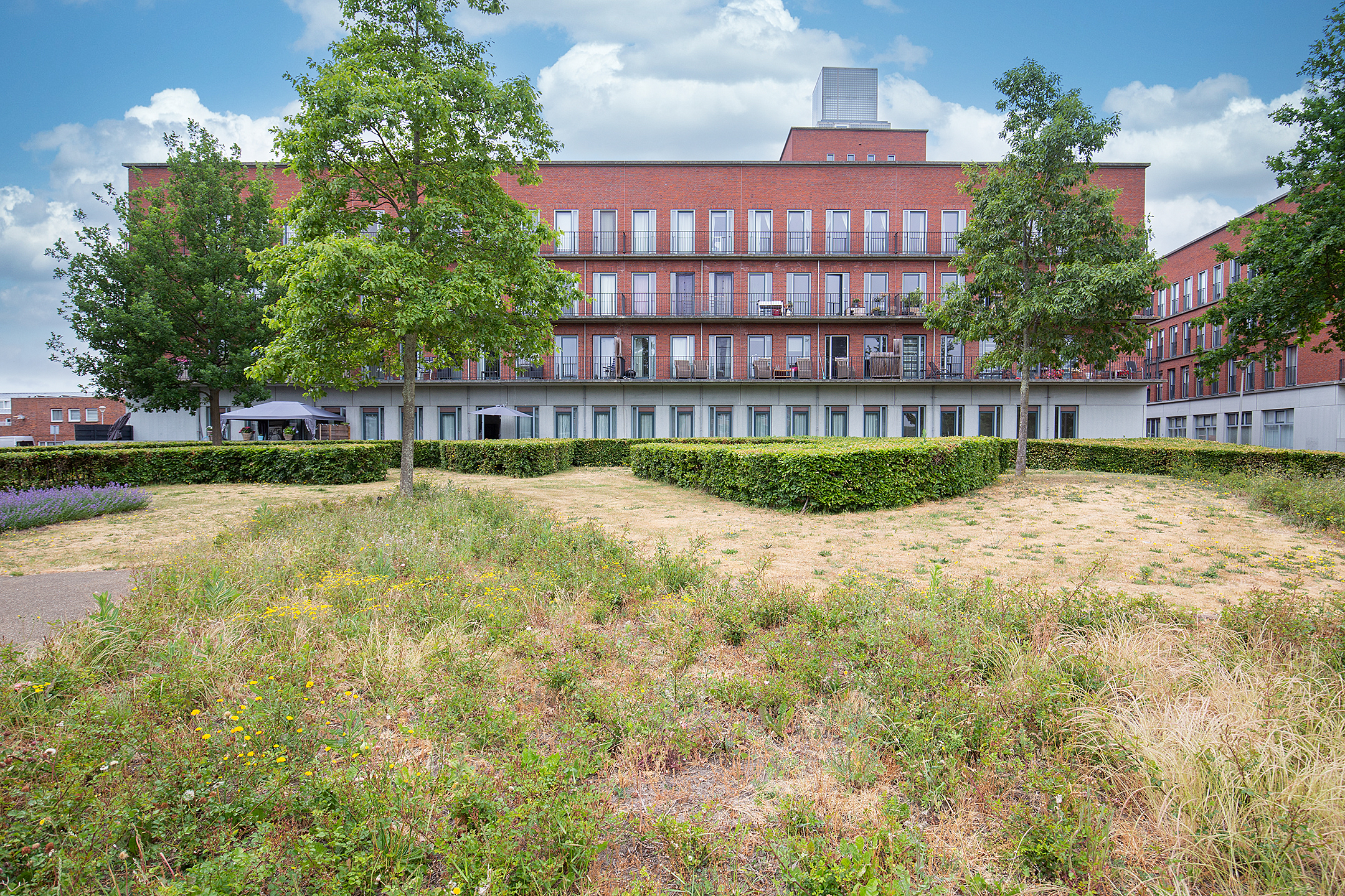 vrije-sector-woningen te huur op F. Diepenlaan 109