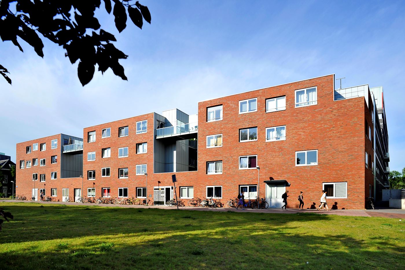 Paviusstraat 116