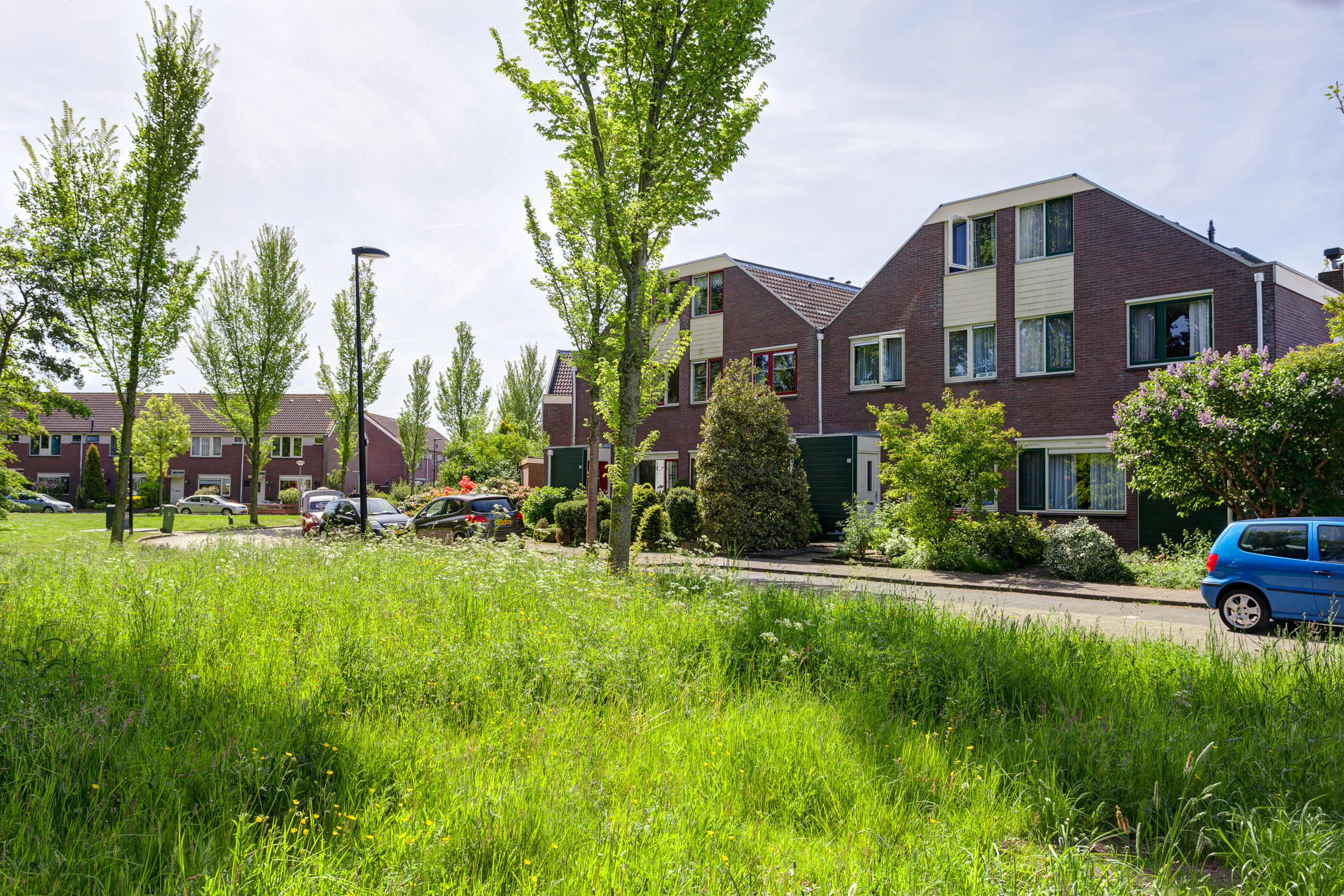 free-sector-houses for rent on Lemsterlandhoeve 41