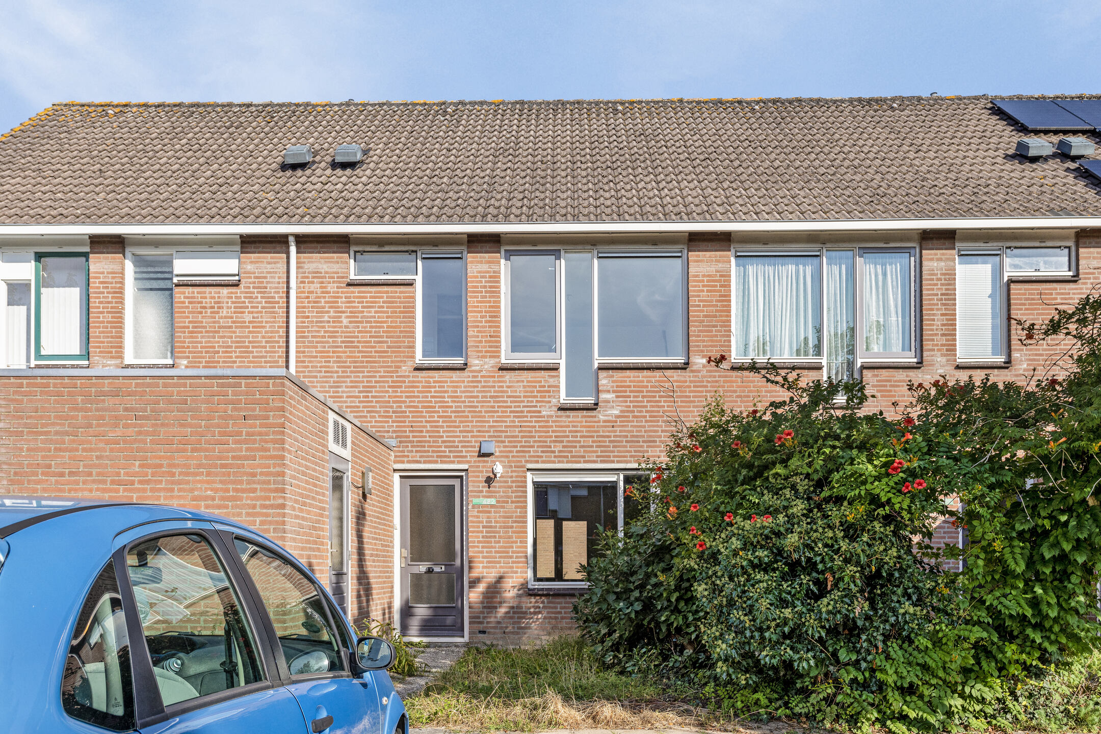 free-sector-houses for rent on Zebraspoor 488